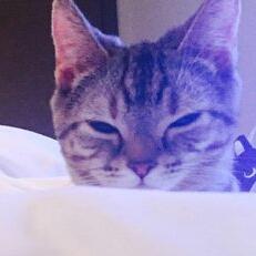 けっくけーＫＳＫ