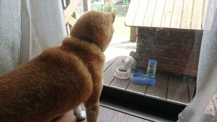 柊梨奈のトーク
