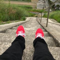 まこと