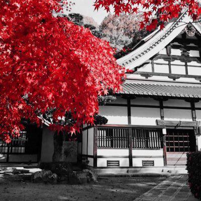 アマルフィのトーク