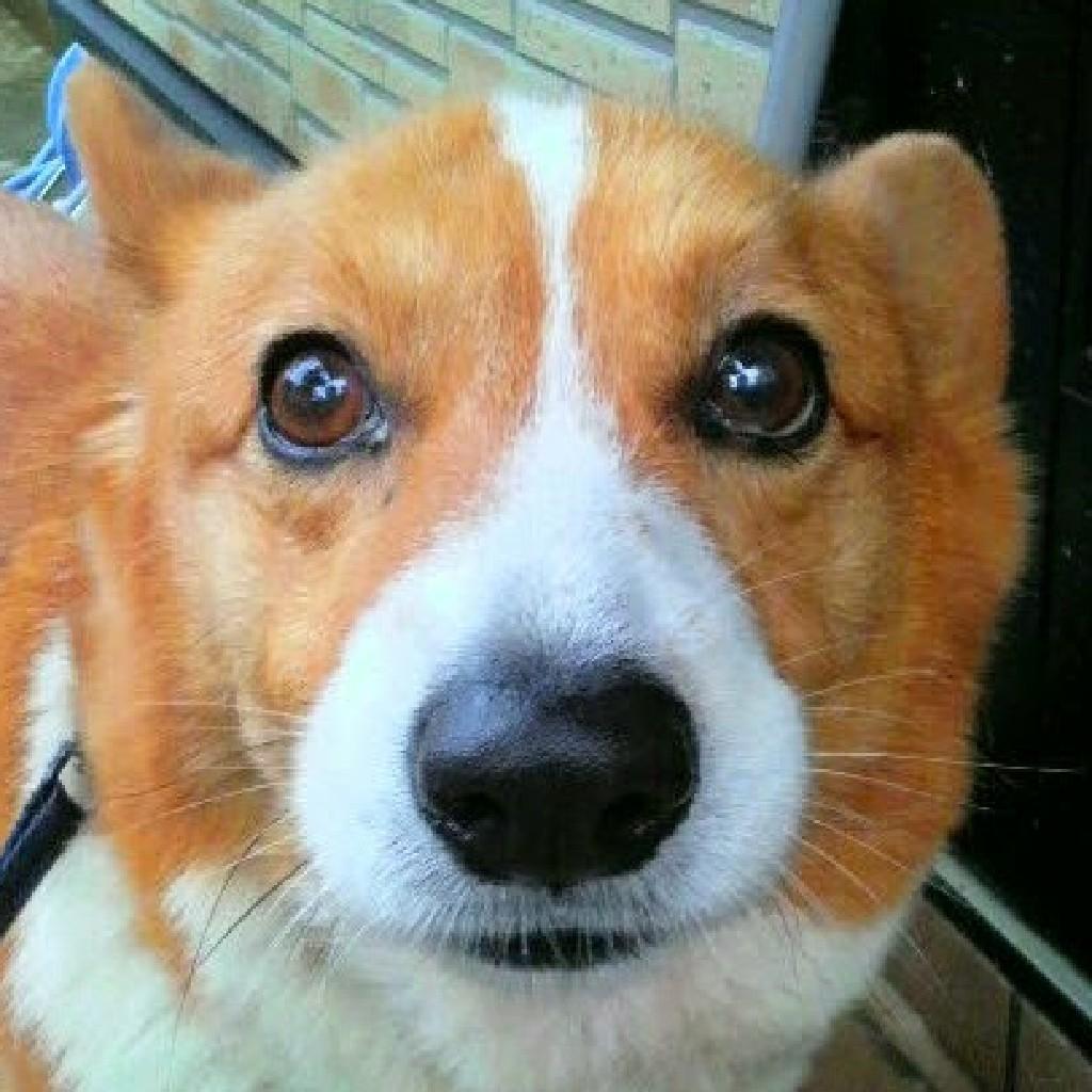 カエルのかえるちんのトーク