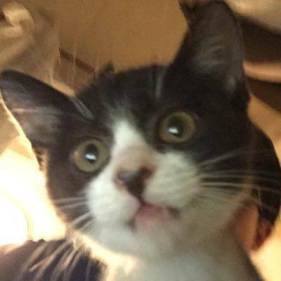 いなば のりゆき