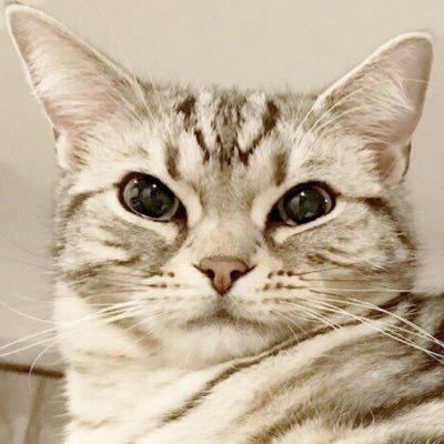 もふこ
