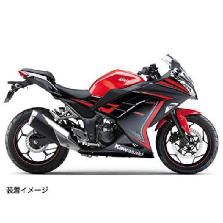 ninja250乗ってる人ー