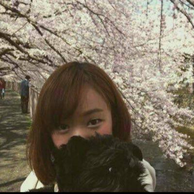りゅーせー