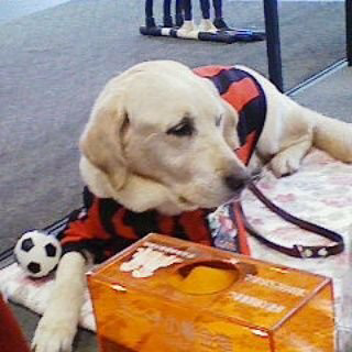 たもーのトーク