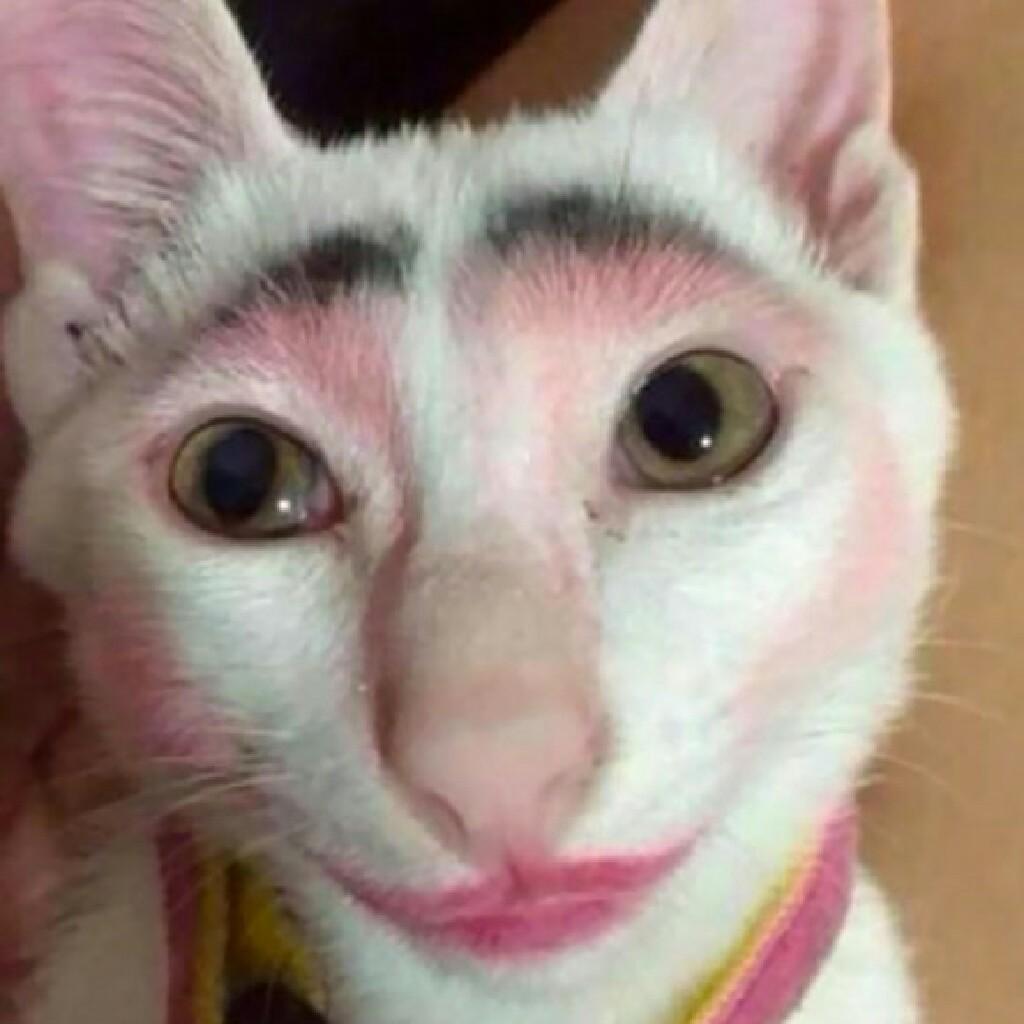 敏太