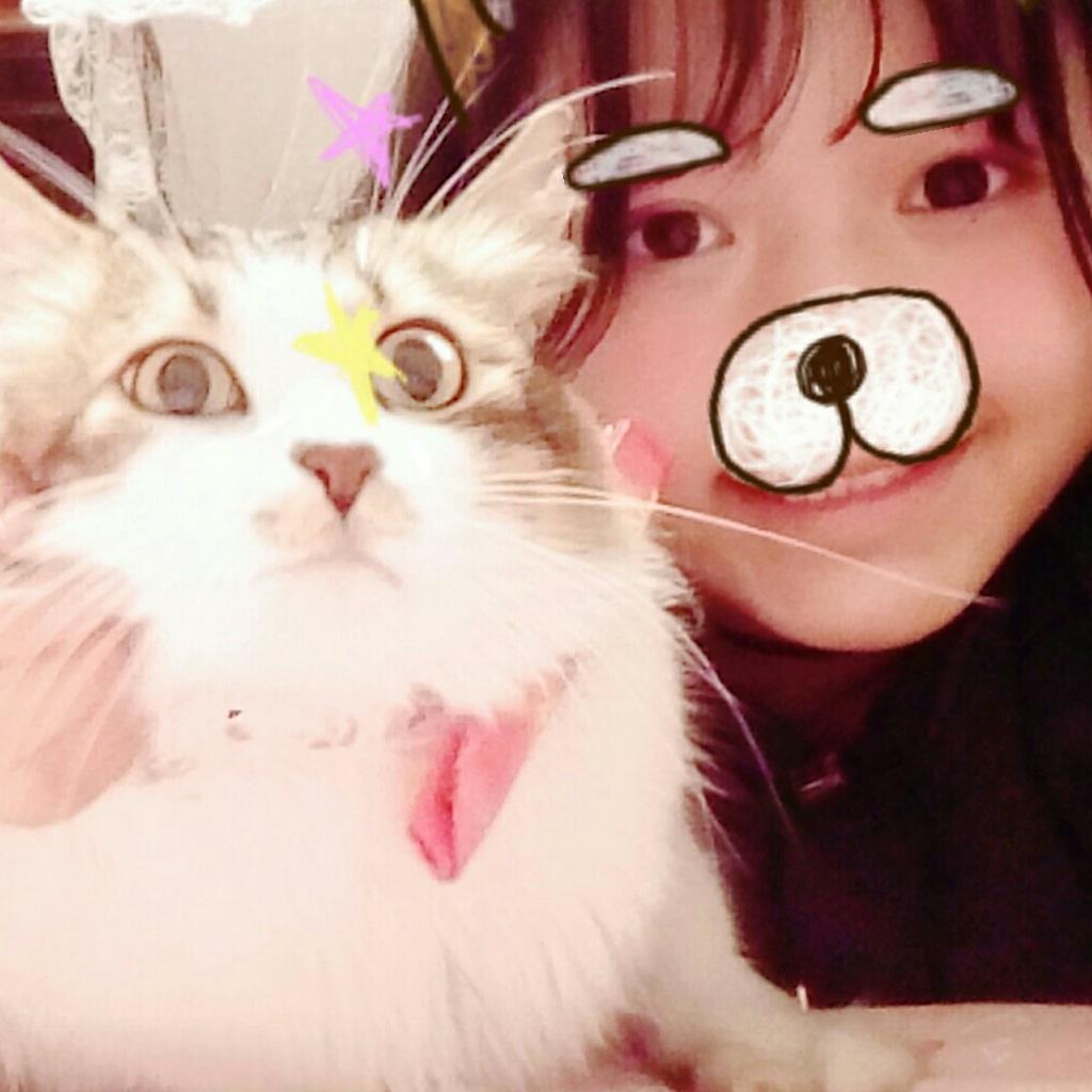 ウミたん