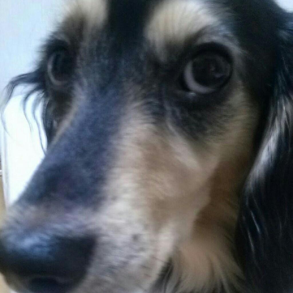 ルパンのトーク