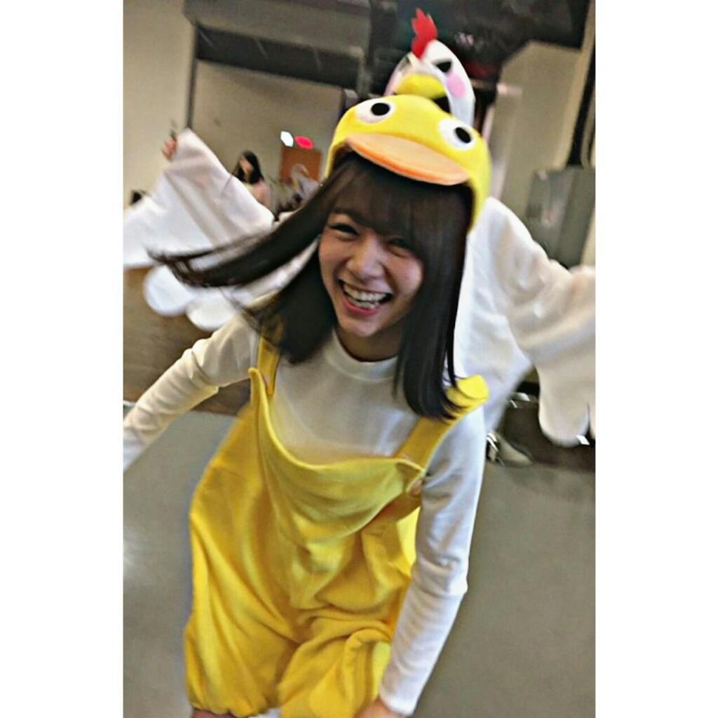 はちらんど    🐝