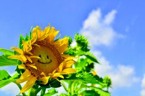 うっちゃん♥team絆♥のトーク