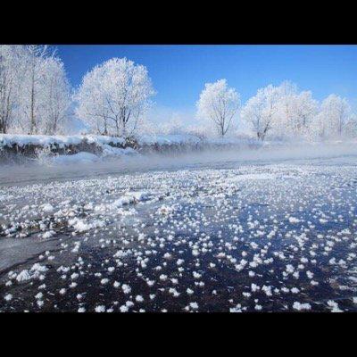 ブーさんのトーク