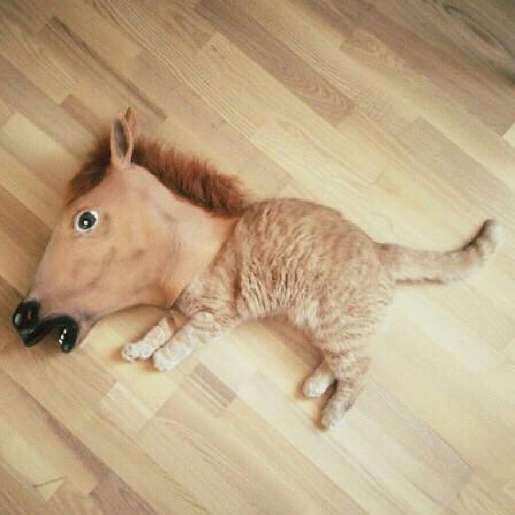りさ⊿