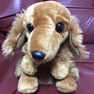 きっくんのトーク(リトーク専用)