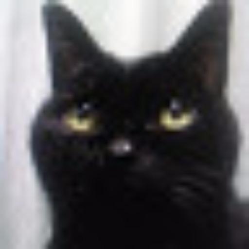 大阪のやまちゃん