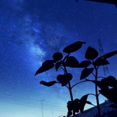 しょうた