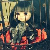 黒欠片 クロカケラ クロチャン