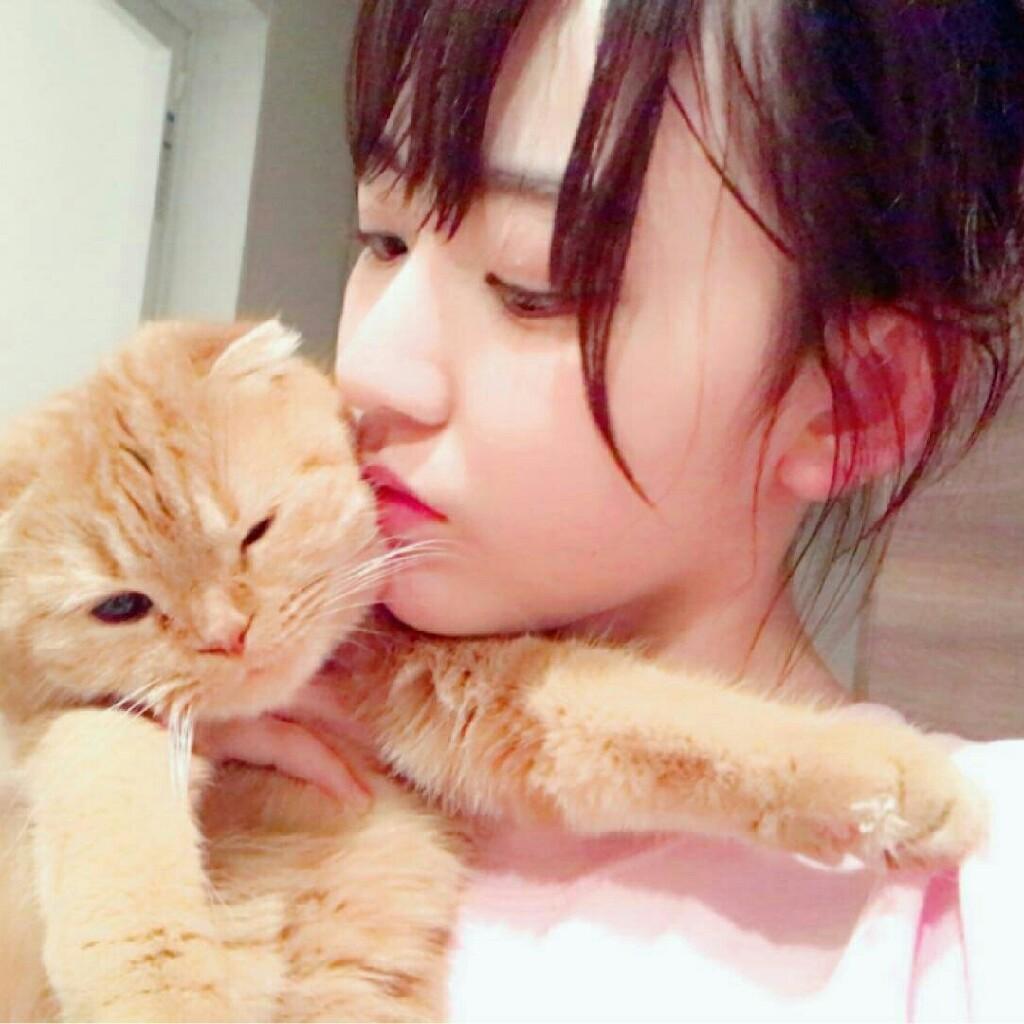 富士さん(🍒さくちゃん命名🌸)