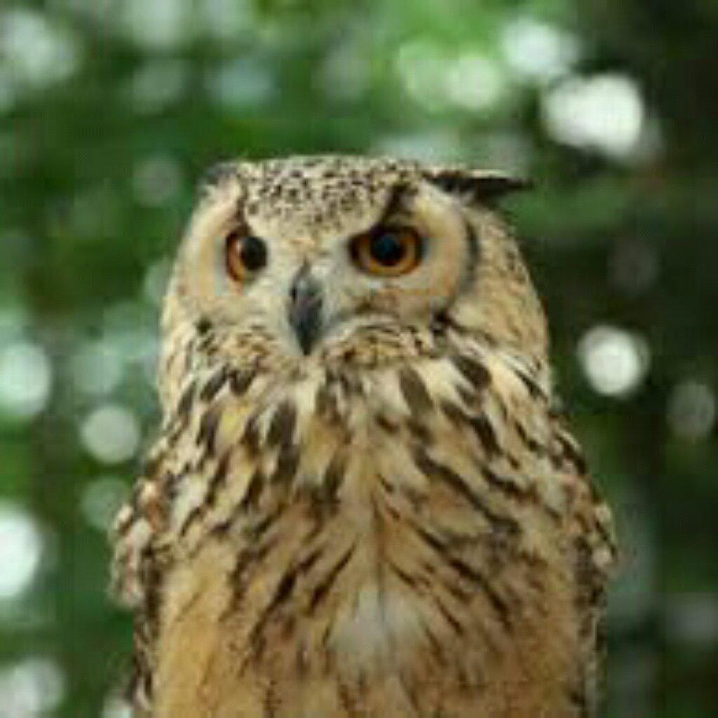 「「えくぼ」」