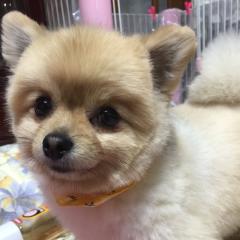 たけボウの気分