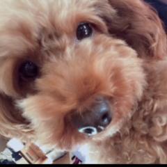 〜てる〜 有菜&えりな&ひぃちゃん推しのトーク