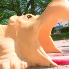 🏀ひろき@ささえ隊🏀のトーク