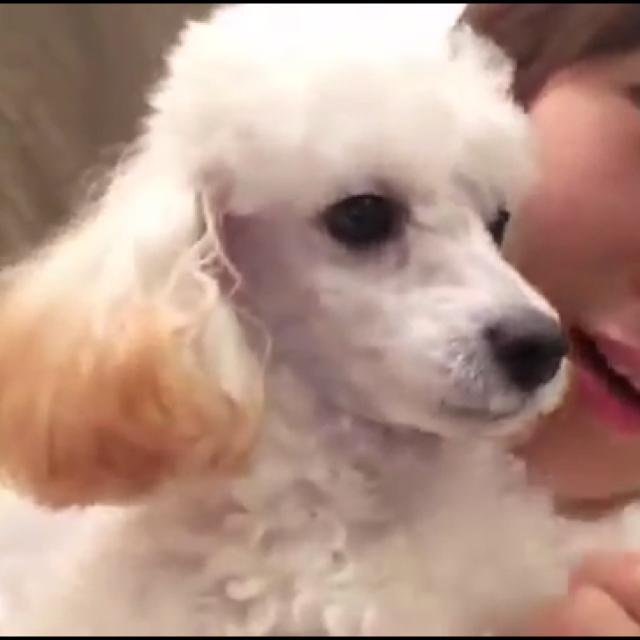 なぽりたんのトーク