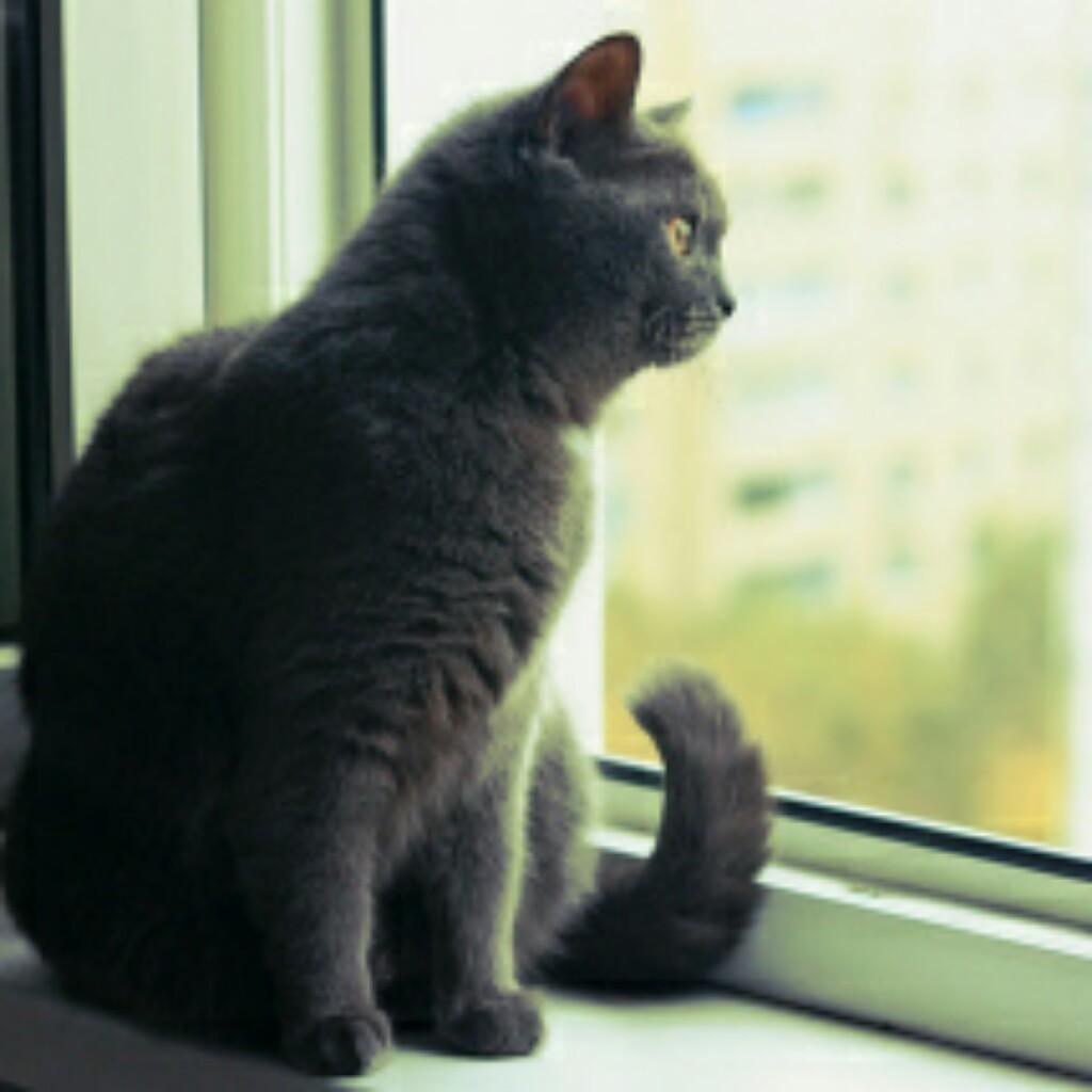 ゆーか(ΦД ´メ)