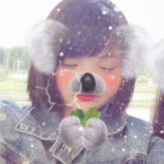 ひ か り