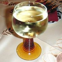 Yamamoto Yamaのトーク