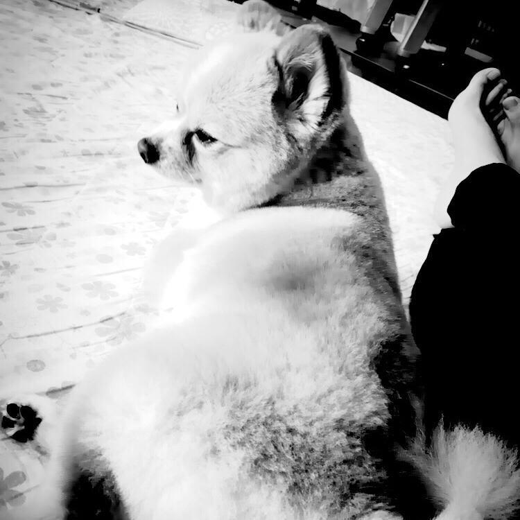 ヒカルのトーク