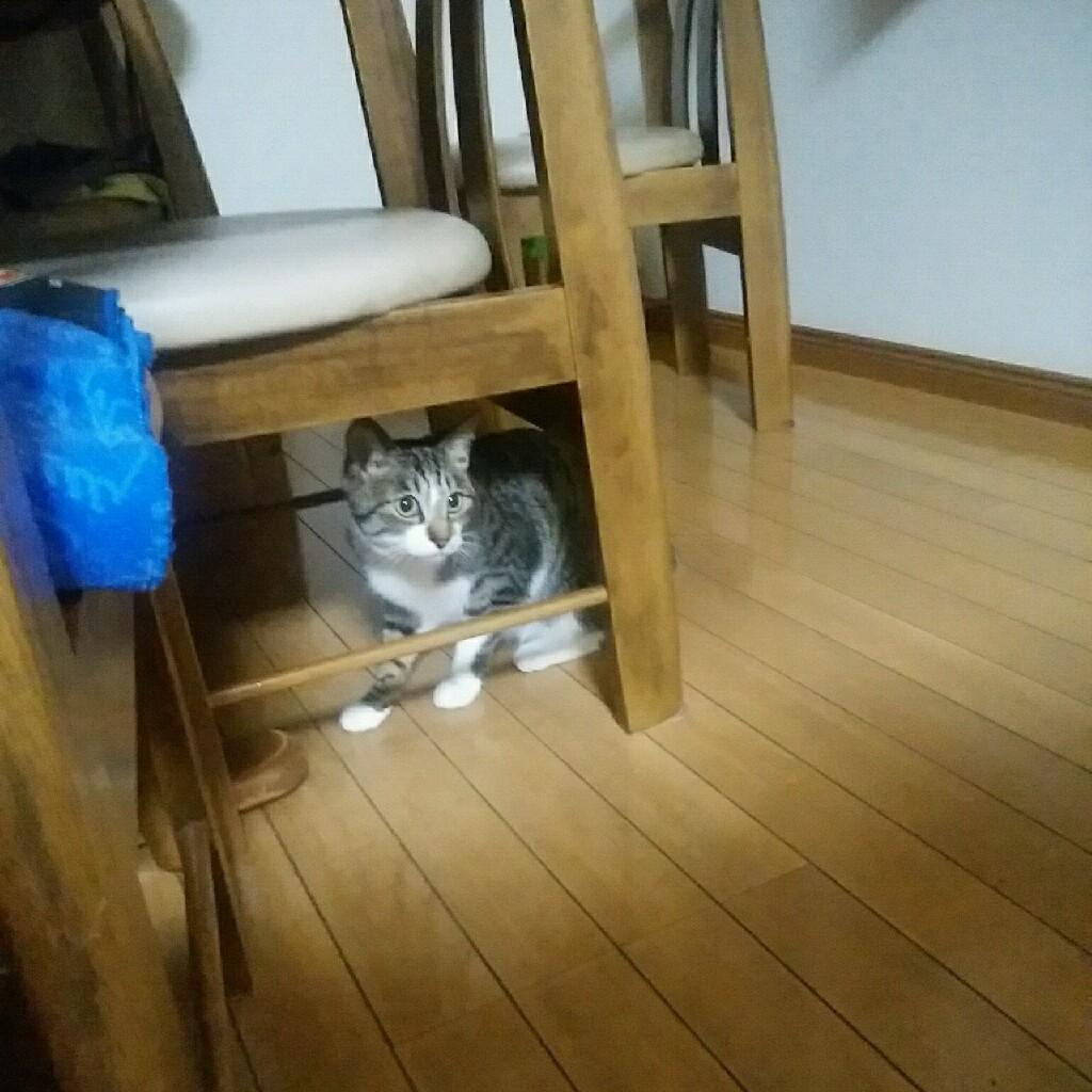 あつしのトーク