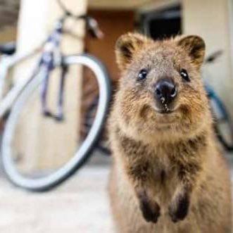 🎸けいと🍏のトーク