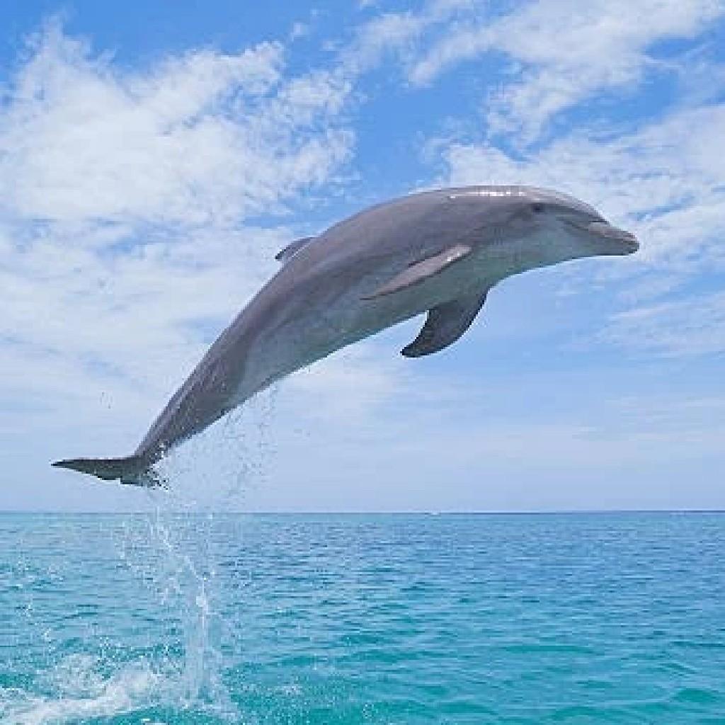 ダテヲ⊿カナヲの友達じゃない😂