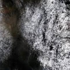 混沌の死神が紡ぐ聖界物語(設定場所)