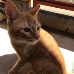 僕とゆうなちゃん