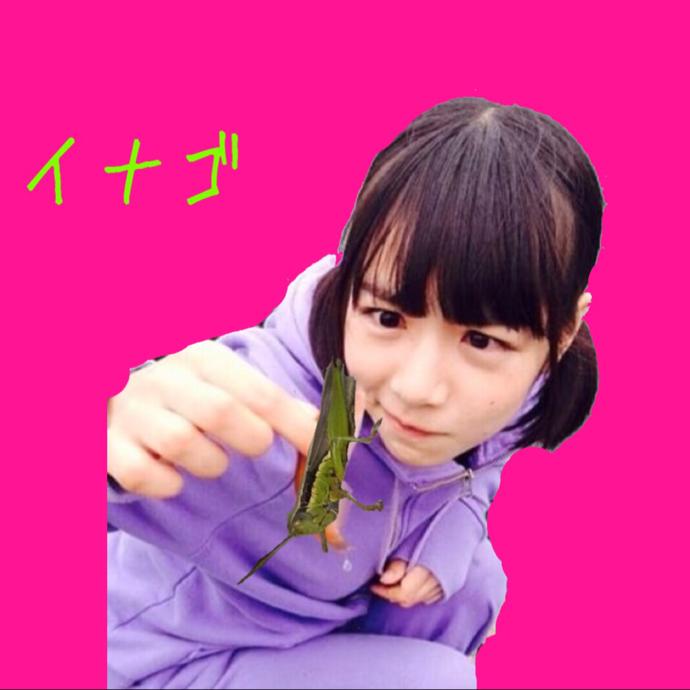 イナゴ
