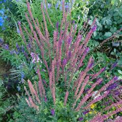 Ｍちゃんのトーク