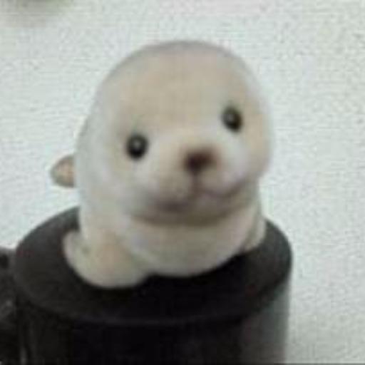 たにやん@画像はゴマフアザラシ