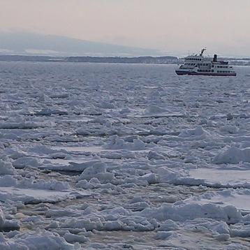 ひめたんロボ7号