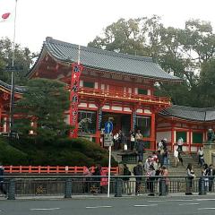 きのぴー
