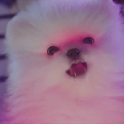 ギガカラのトーク