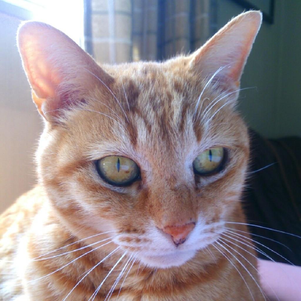 しょうちゃんのトーク