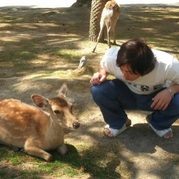 ブリコたろー（ルカベリーが、すちです。）