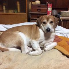 れもんのトーク