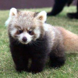 くまたろうのトーク