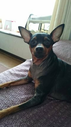 なみっちのトーク