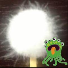 Hong Mingのトーク