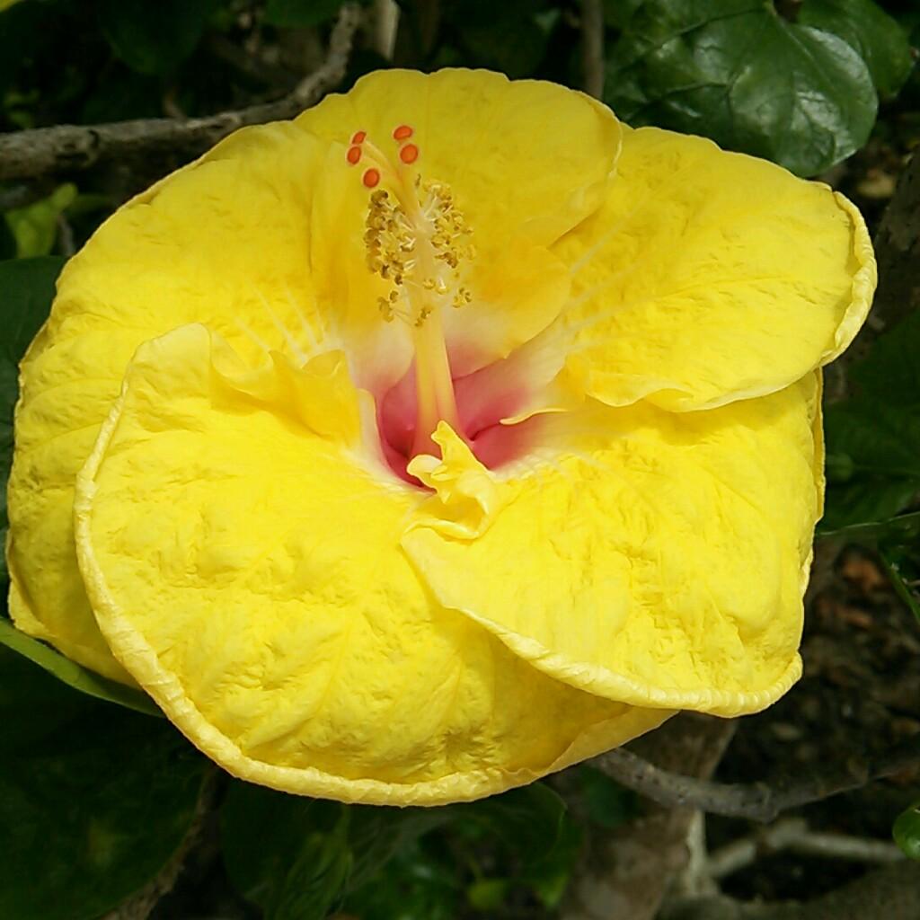 沖田ゆうき（活動中）