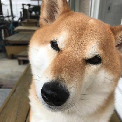 なぎさ